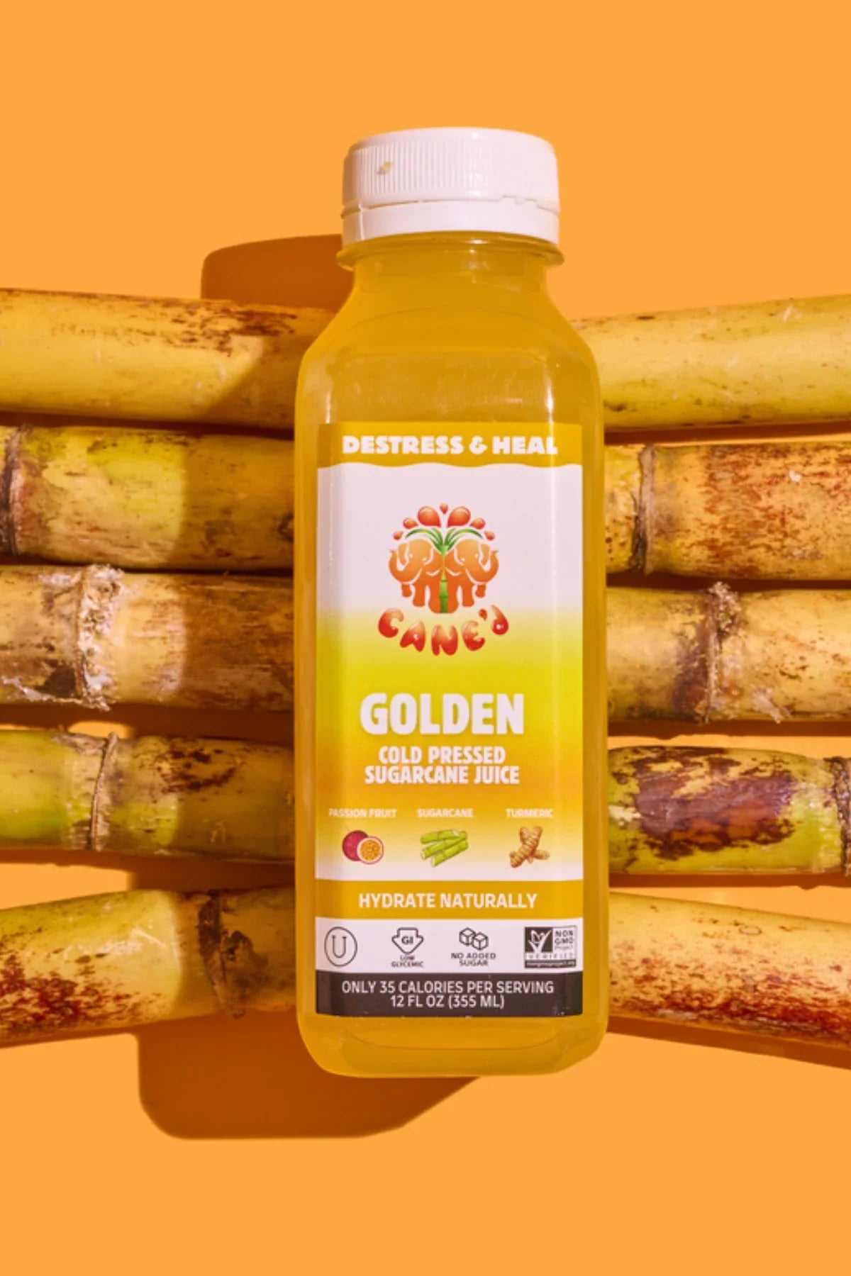 GOLDEN - Pack of 6