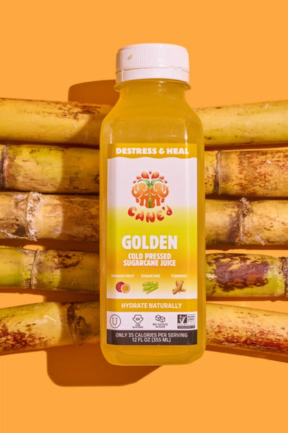 GOLDEN - Pack of 6